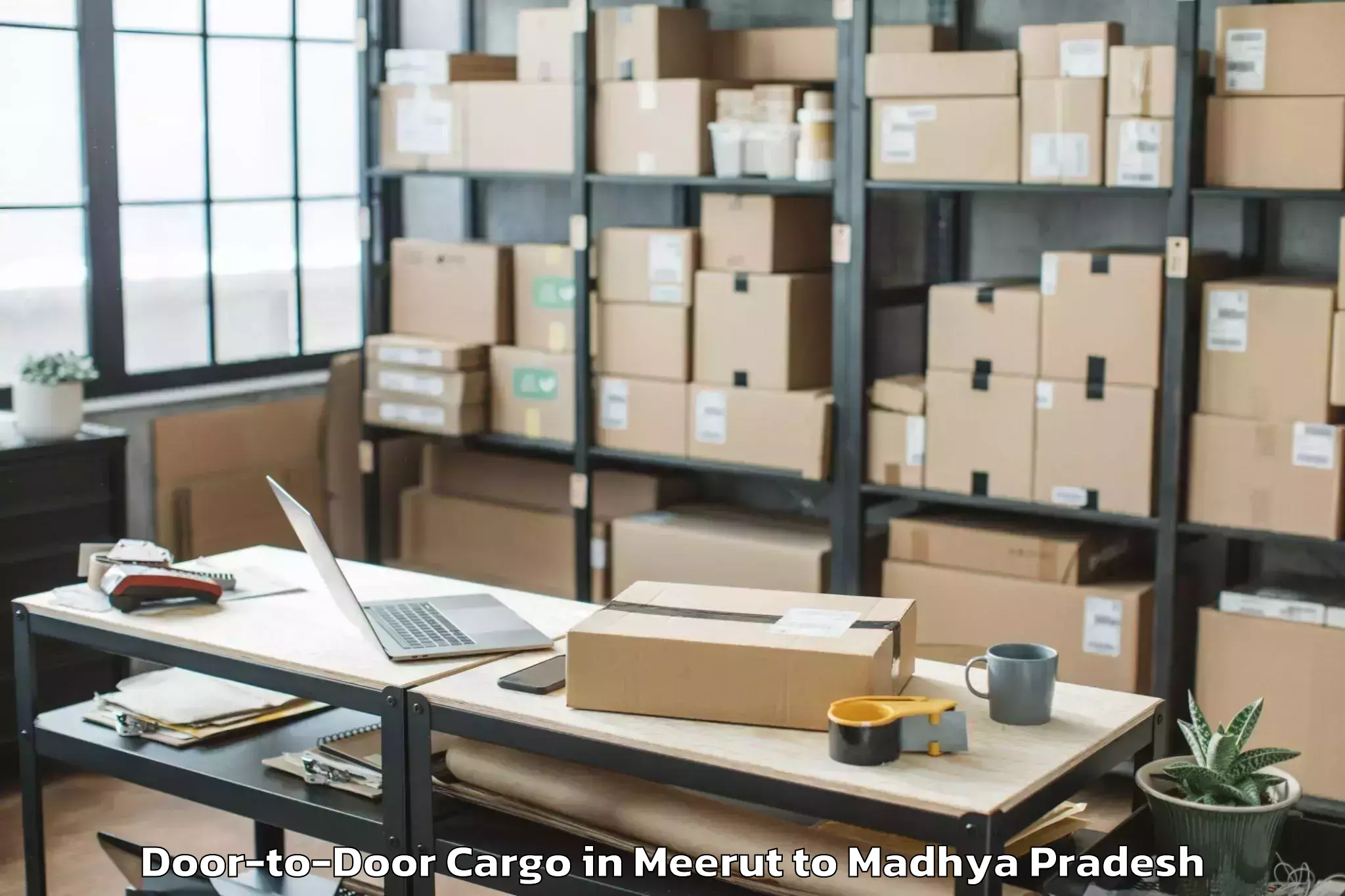 Easy Meerut to Ganj Basoda Door To Door Cargo Booking